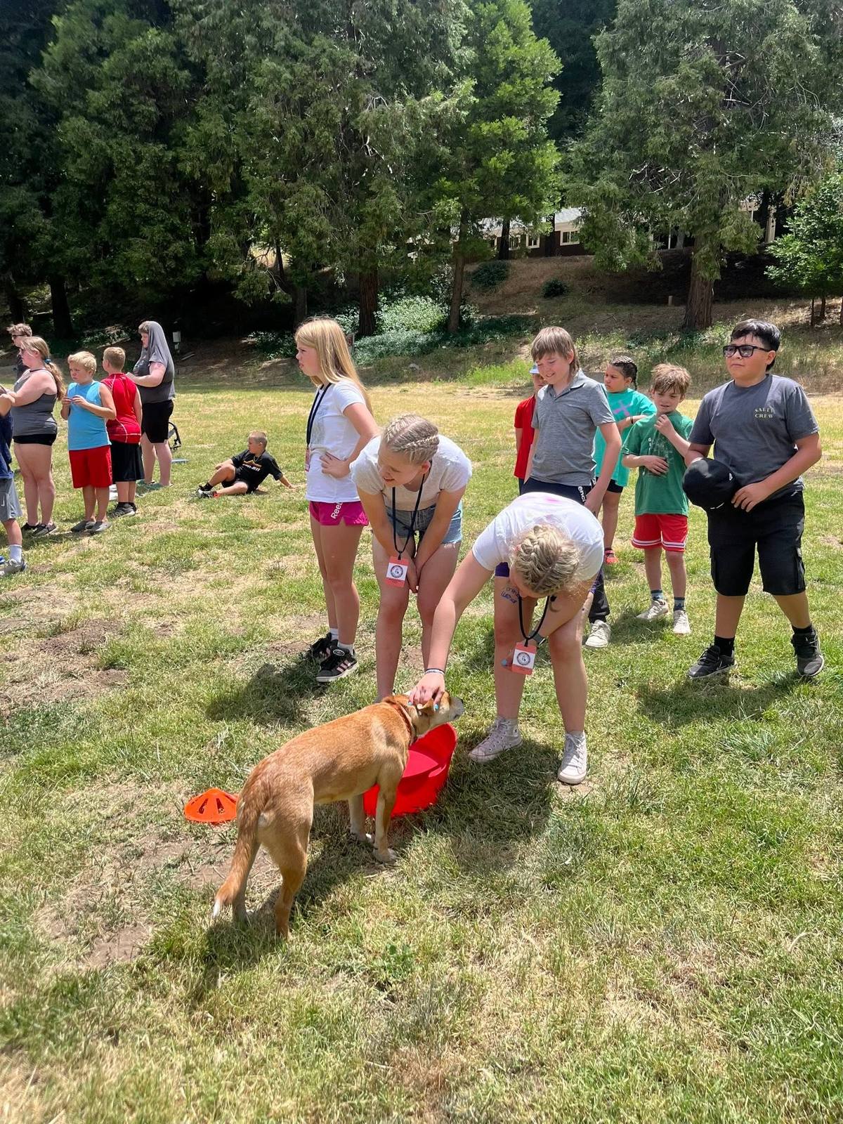 Campers petting a friendly therapy dog